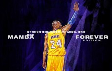 壹号娱乐官网-捷克球队表现出色，创下历史新高，捷克球队球星